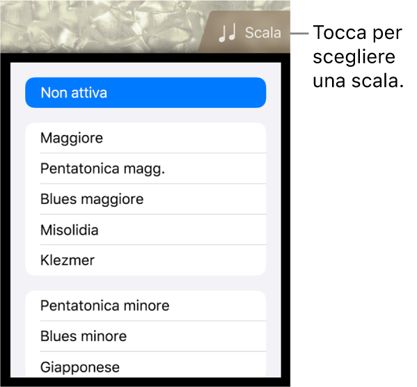 Elenco Scala e pulsante Scala di Basso