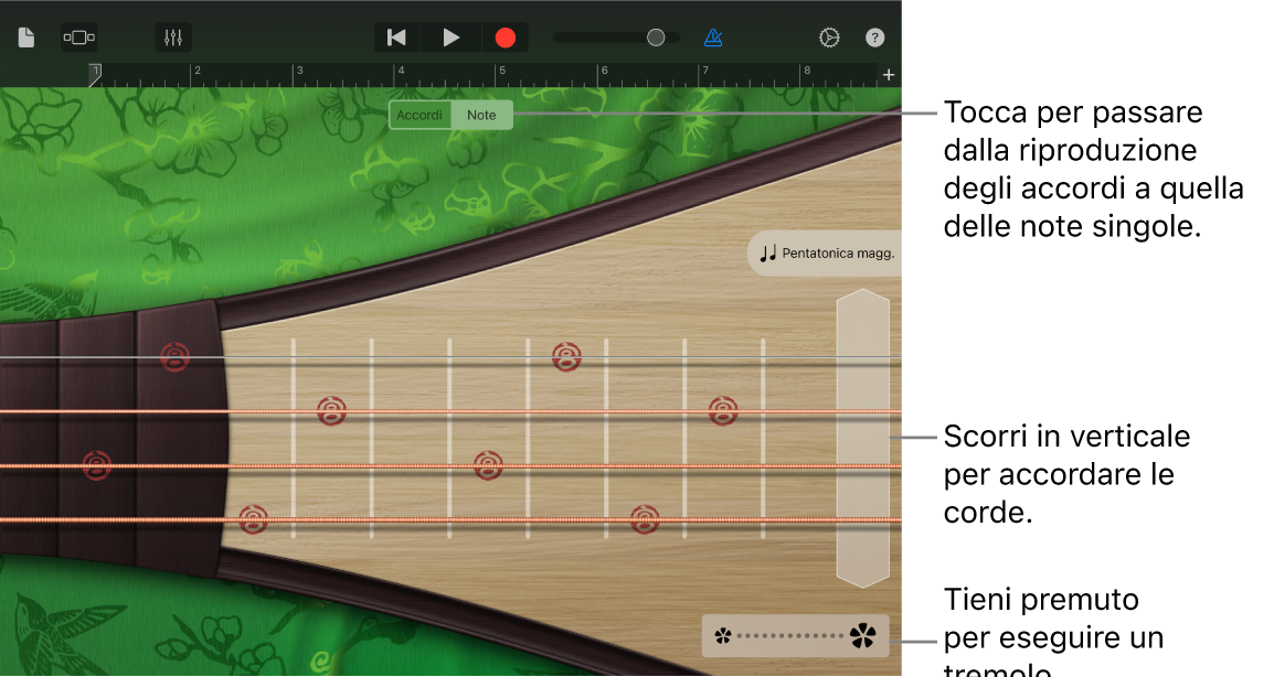 Figura. Pipa nella vista Note.