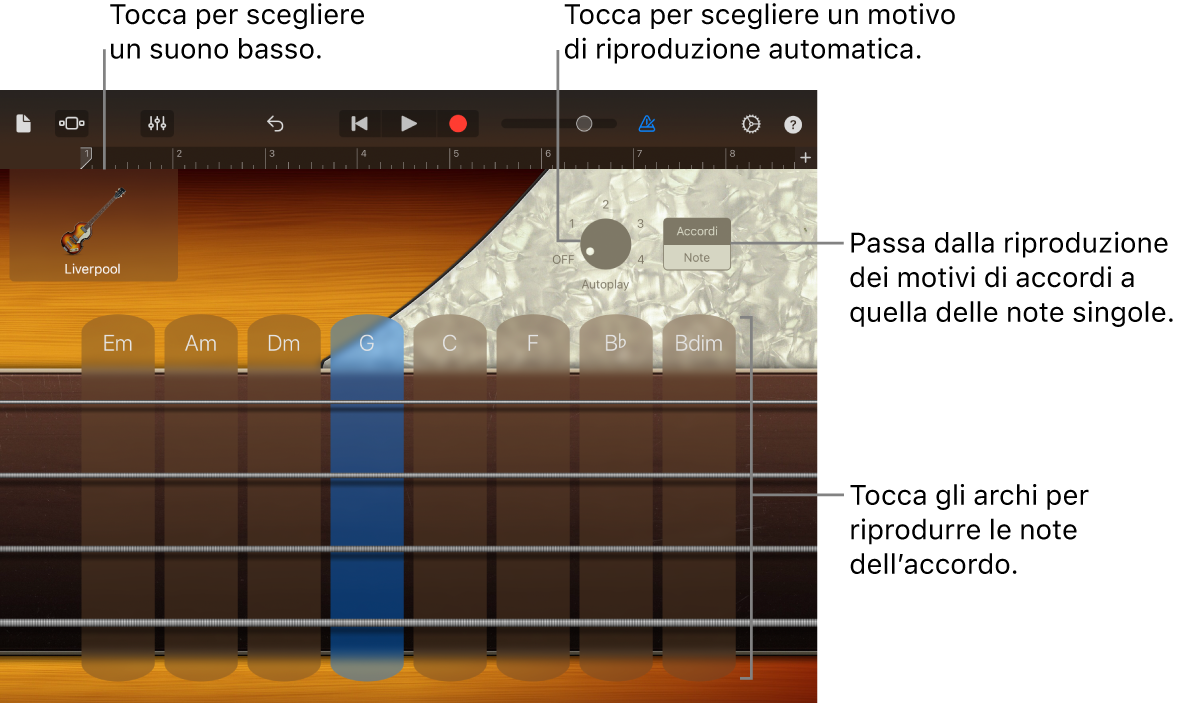 Strumento Touch Basso