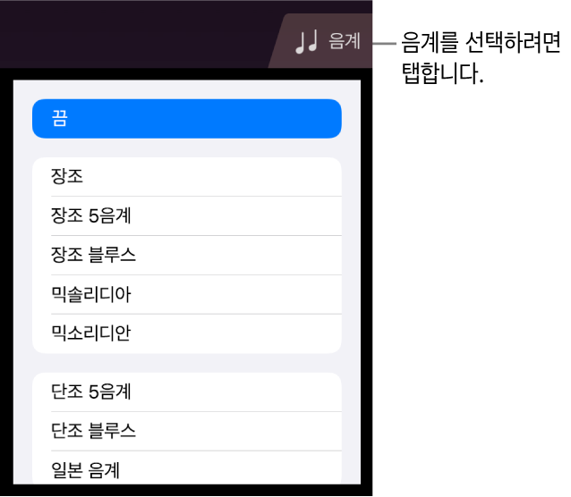스트링 음계 버튼 및 음계 목록