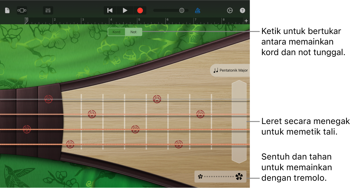 Rajah. Pipa dalam paparan Not.