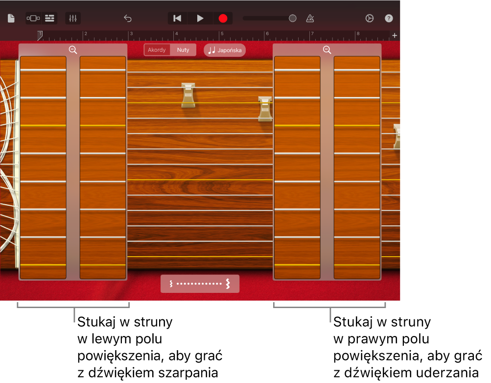 Pola powiększenia instrumentu koto
