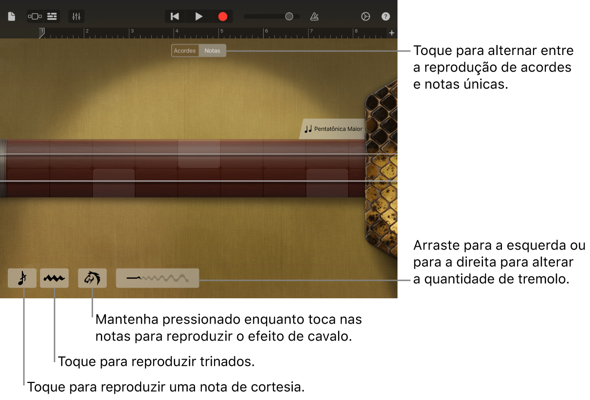 Erhu, na visualização Notas.