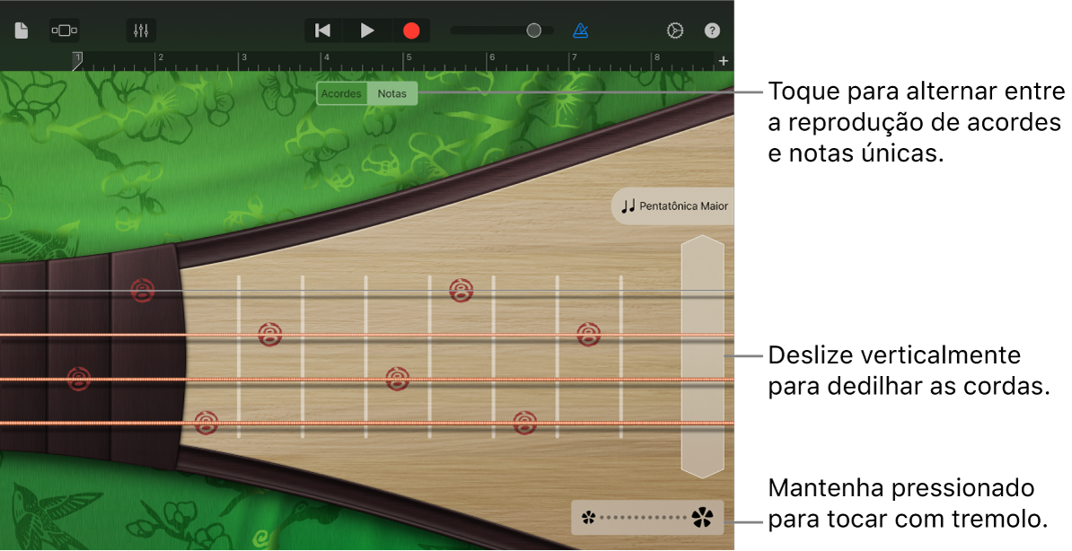 Figura. Pipa, na visualização Notas.