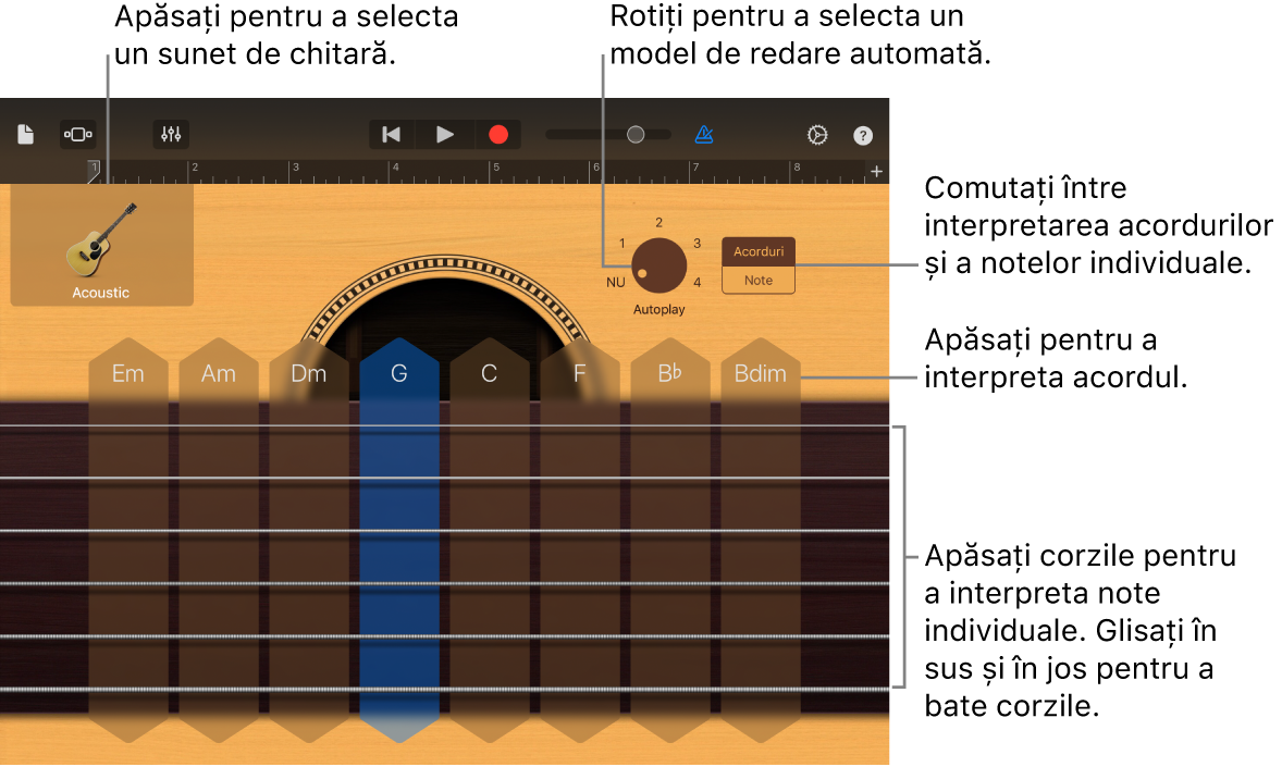 Instrumentul tactil Chitară