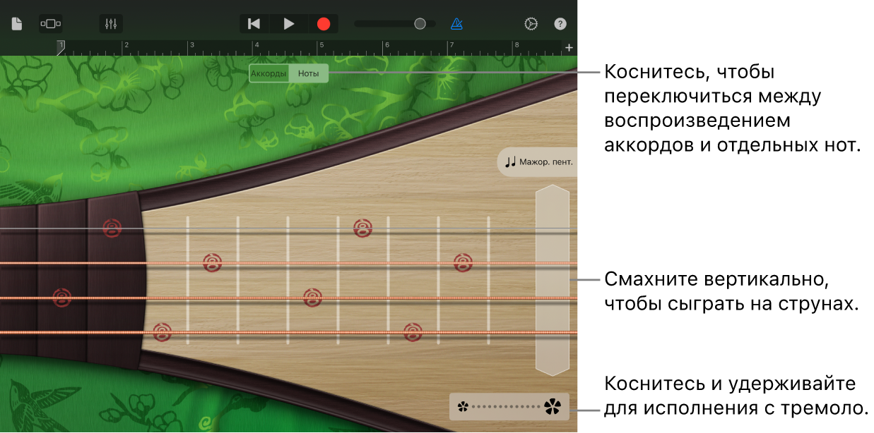 Рис. Пипа в режиме нотного стана.