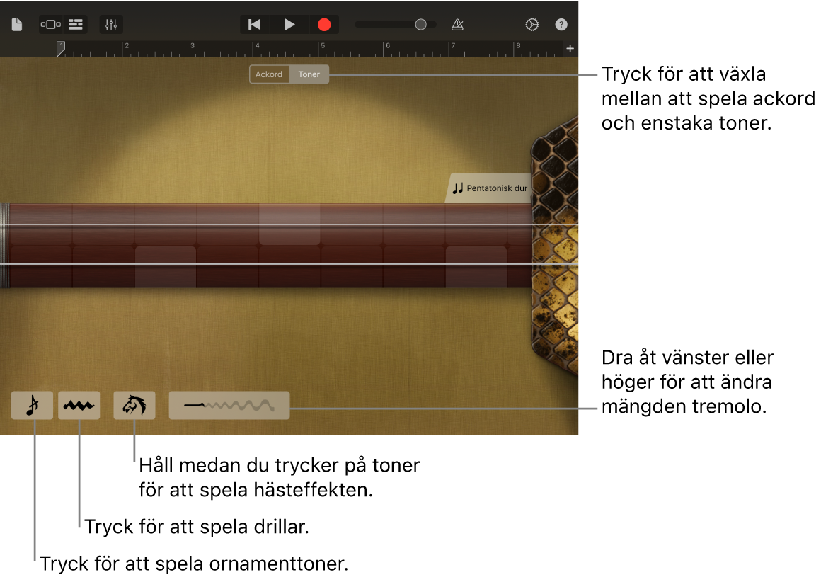 Erhu, i vyn Anteckningar.