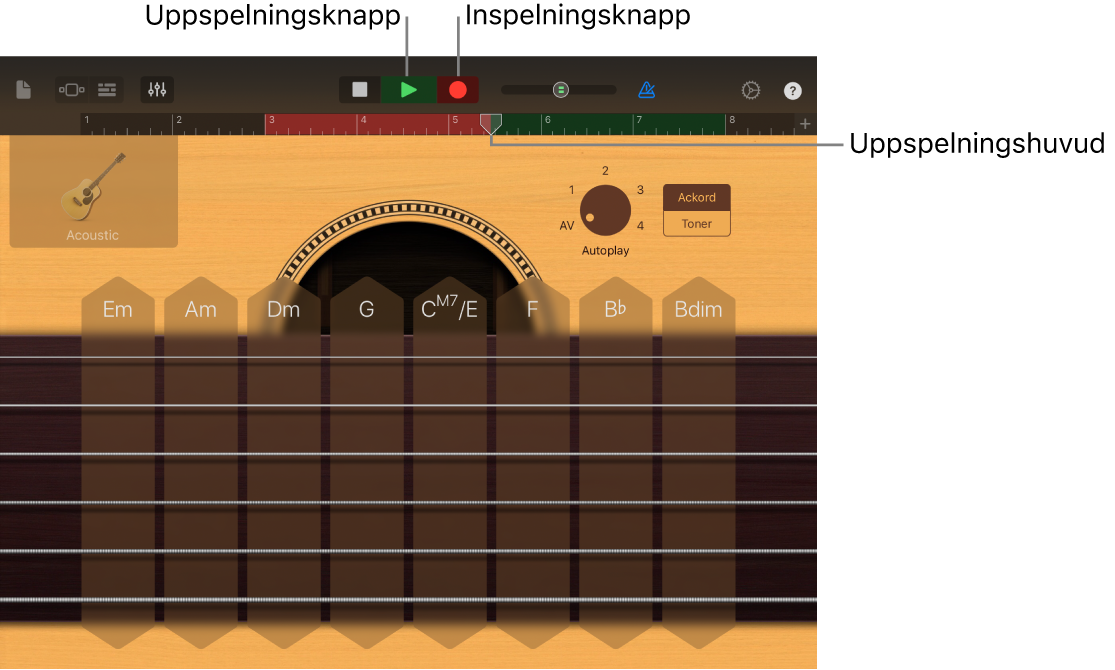 Inspelningsknapp och linjal med en inspelad region