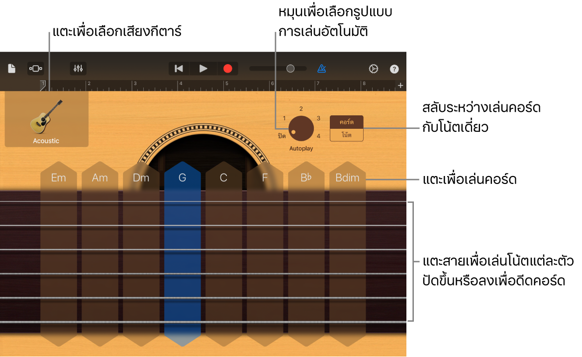 เครื่องดนตรีสัมผัสกีตาร์