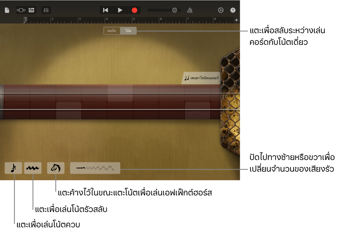 เอ้อหูในมุมมองโน้ต