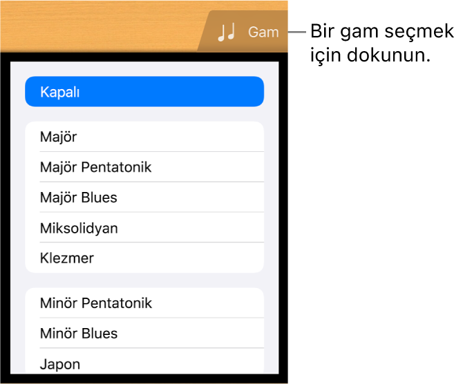 Gitar Gam düğmesi ve gam listesi