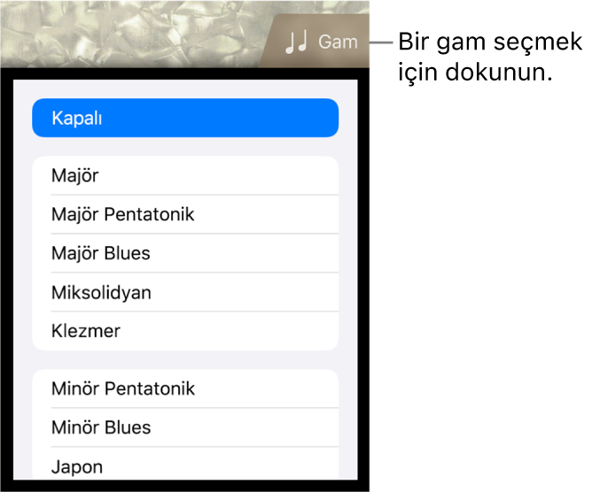 Bas Gam düğmesi ve Gam listesi