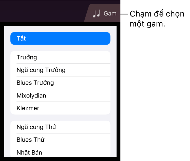 Nút Gam Đàn dây và danh sách gam