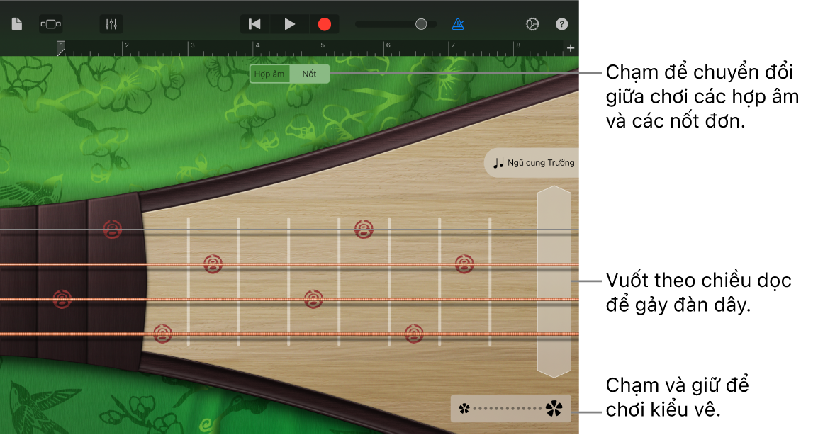 Hình ảnh. Pipa, trong chế độ xem Nốt.