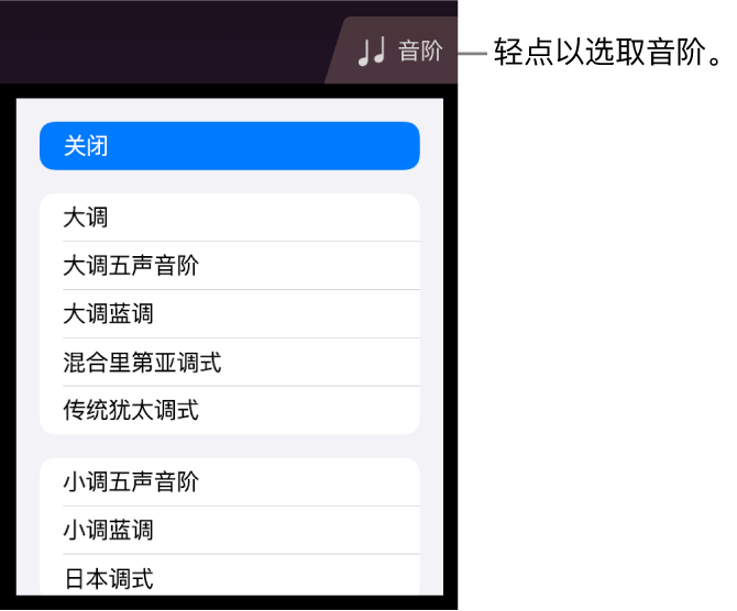 弦乐的“音阶”按钮和音阶列表