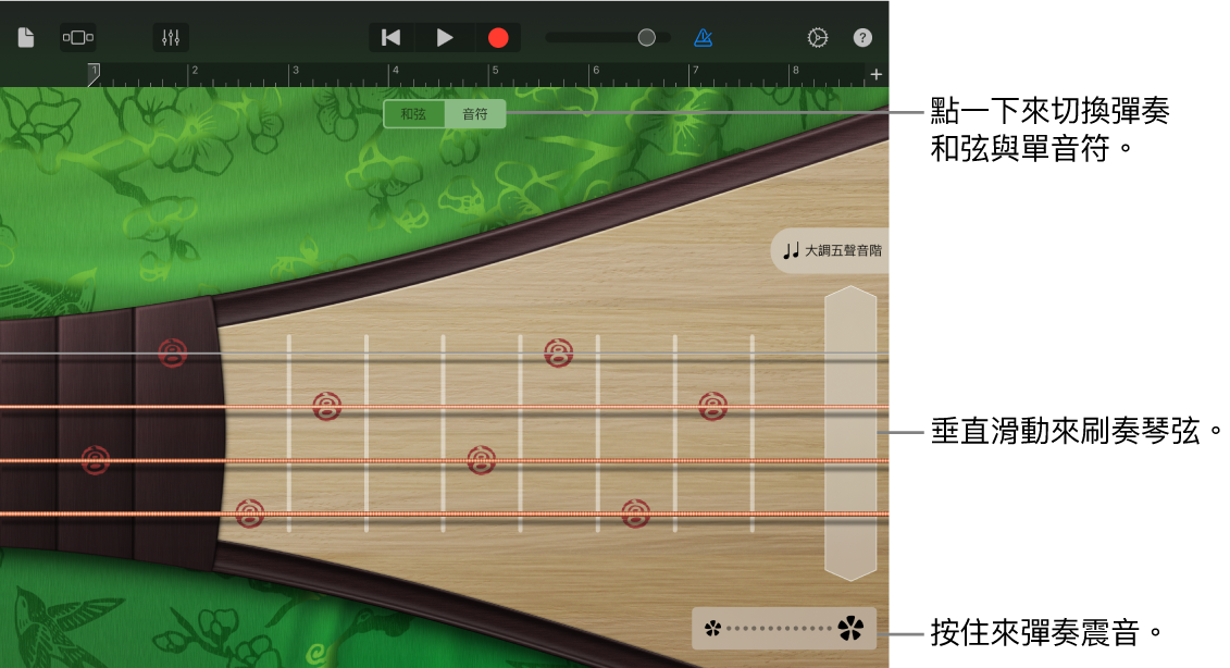圖表。琵琶,音符顯示方式。