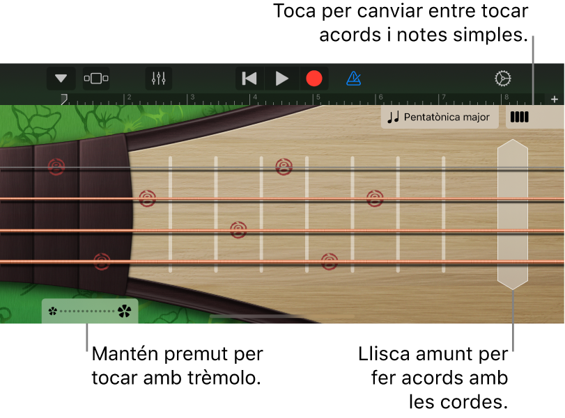 Figura. El pipa, a la vista Notes.
