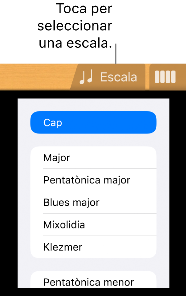 Botó “Escala de guitarra”