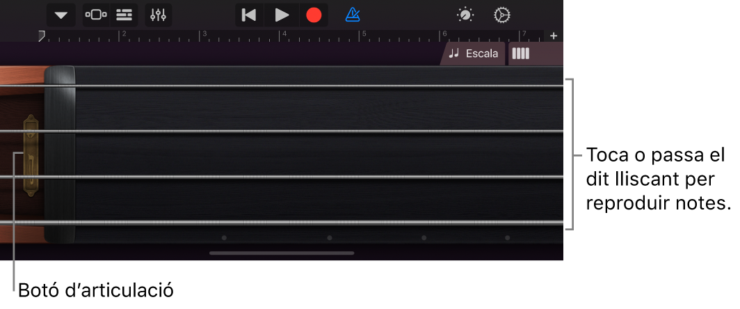 Vista Notes a l’instrument tàctil Cordes