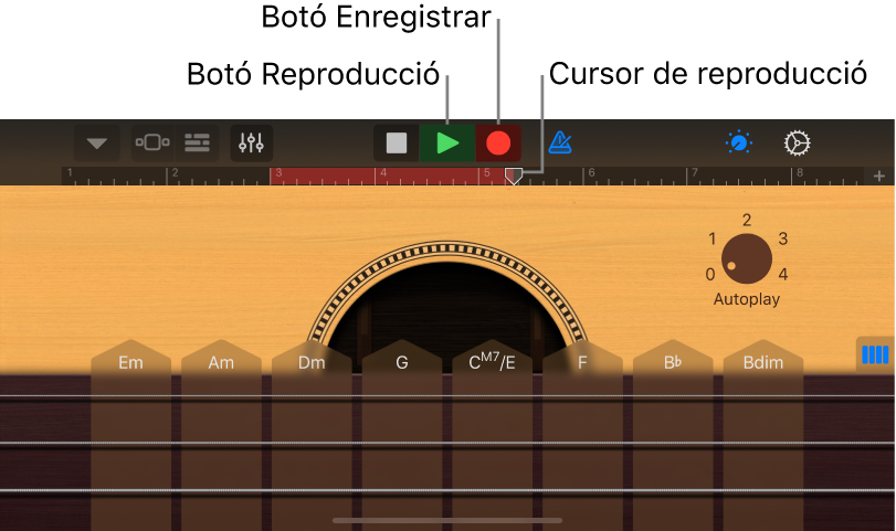 Botó “Grava” i regle amb el passatge gravat