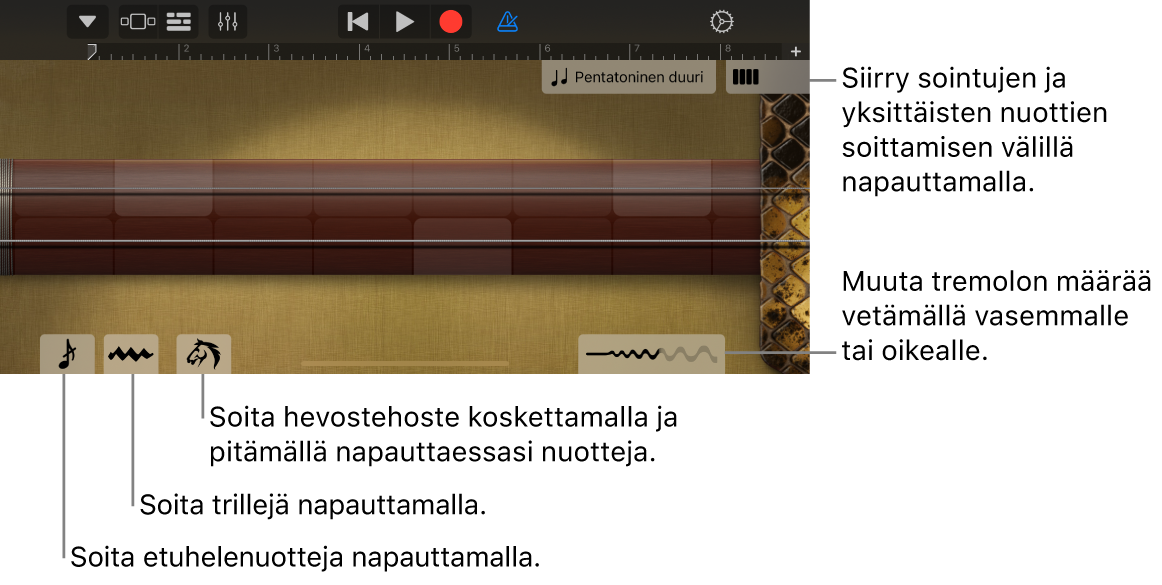 Erhu nuottinäkymässä.