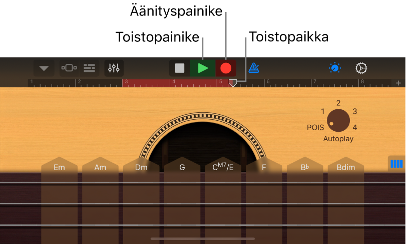 Äänityspainike ja viivain, joka näyttää äänitetyn alueen