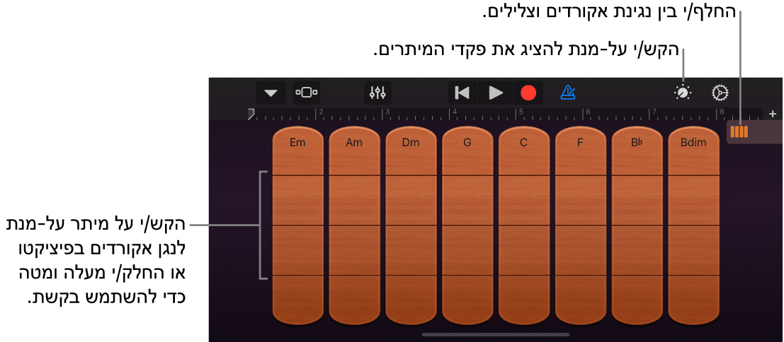 כלי מיתרים מבוסס-מגע
