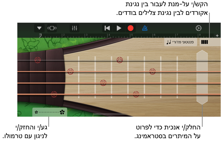 תמונה. Pipa, בתצוגת תווים.