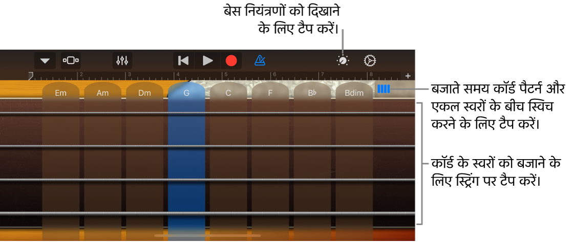 बेस स्पर्श वाद्य यंत्र