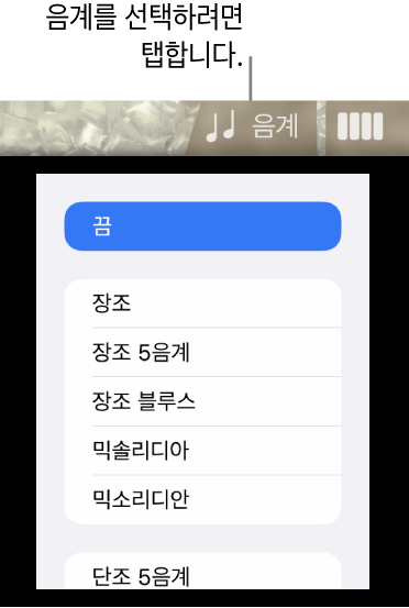 베이스 음계 버튼 및 음계 목록