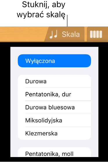 Przycisk skali instrumentu Gitary