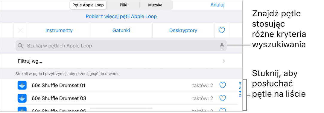 Lista wyników w przeglądarce pętli