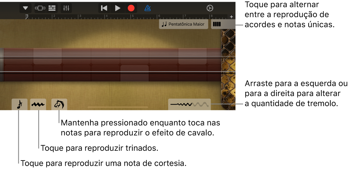 Erhu, na visualização Notas.