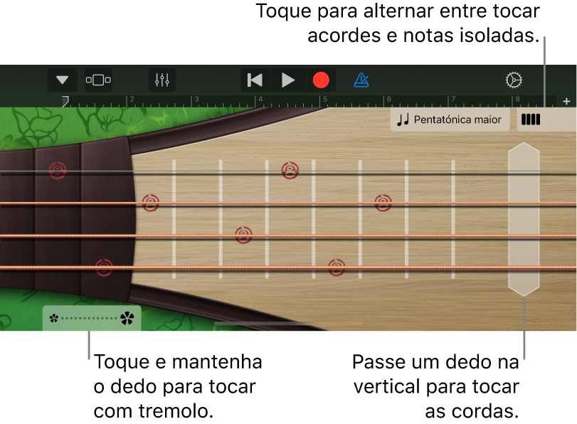 Figura. Pipa, na vista de notas.