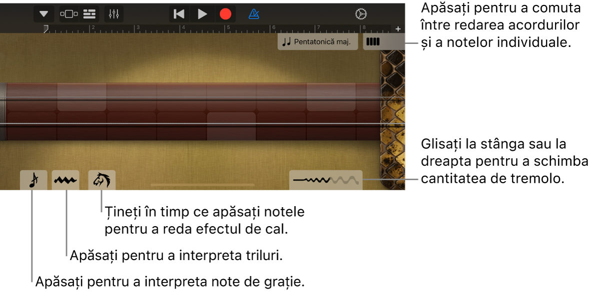 Erhu, în vizualizarea Note.