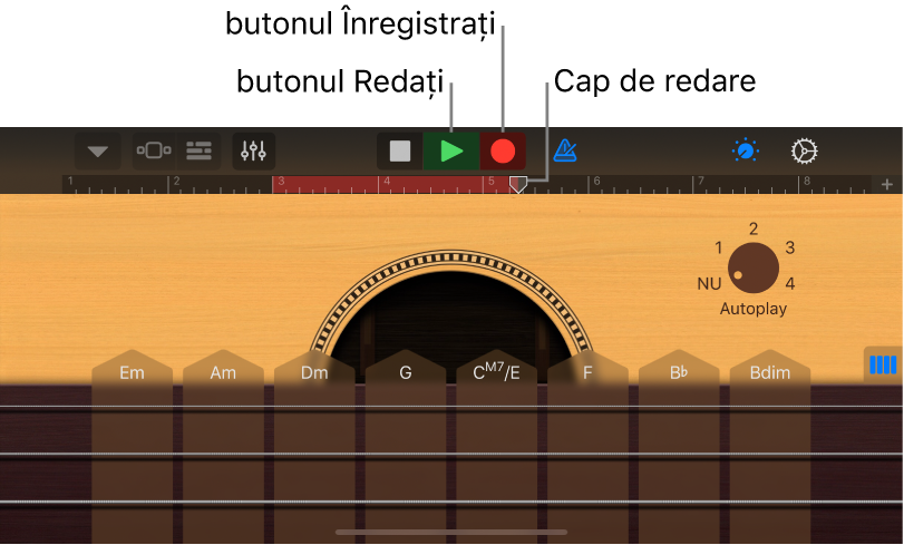 buton Înregistrați și o riglă care indică regiunea înregistrată