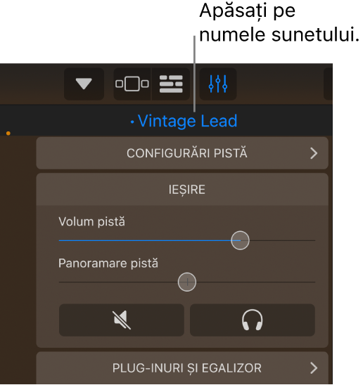 Ilustrație. Numele sunetului curent de deasupra comenzilor pistei.