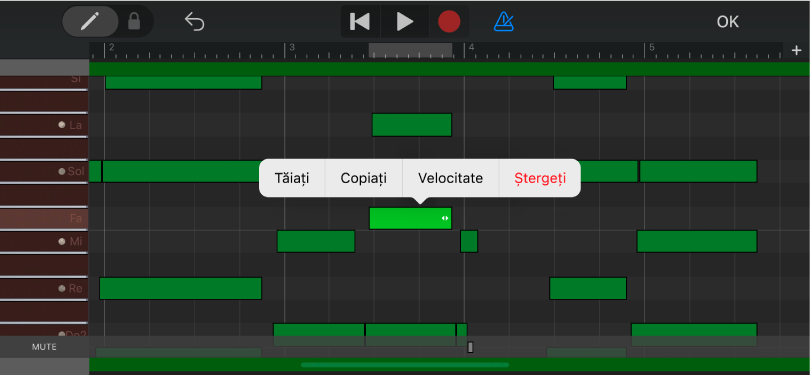Editor cu notă selectată