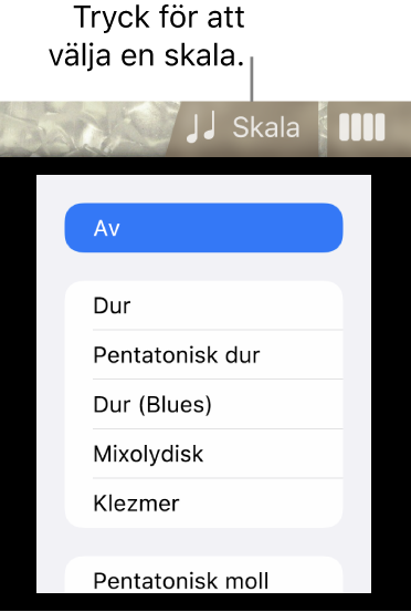 Skalknapp och skallista för bas