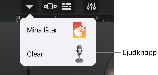 Ljudknapp i vyn Studio