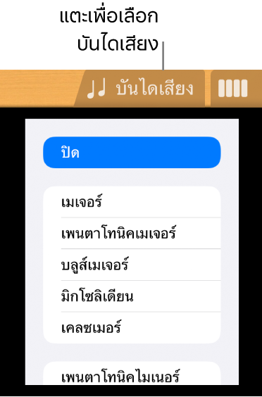 ปุ่มบันไดเสียงกีตาร์