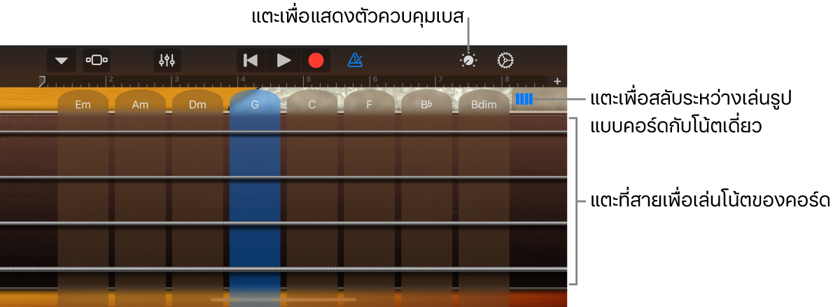 เครื่องดนตรีสัมผัสเบส