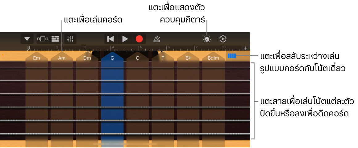 เครื่องดนตรีสัมผัสกีตาร์