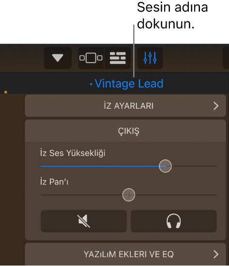 Resim. İz denetimlerinin üst tarafında şu anki sesin adı,