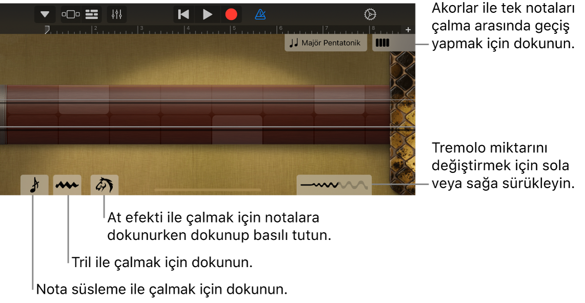 Nota görüntüsünde Erhu.