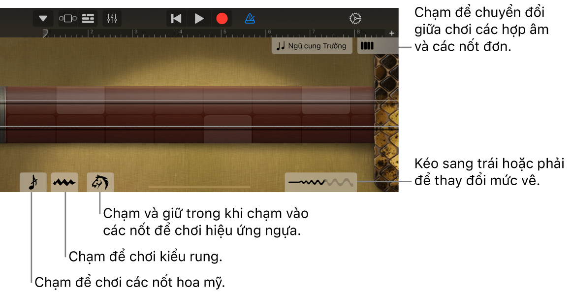 Erhu, trong chế độ xem Nốt.