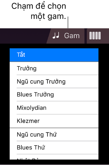 Nút Gam Đàn dây và danh sách Gam