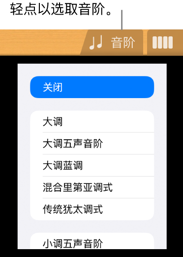 吉他的“音阶”按钮