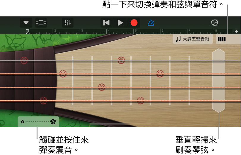 圖表。琵琶,「音符」顯示方式。