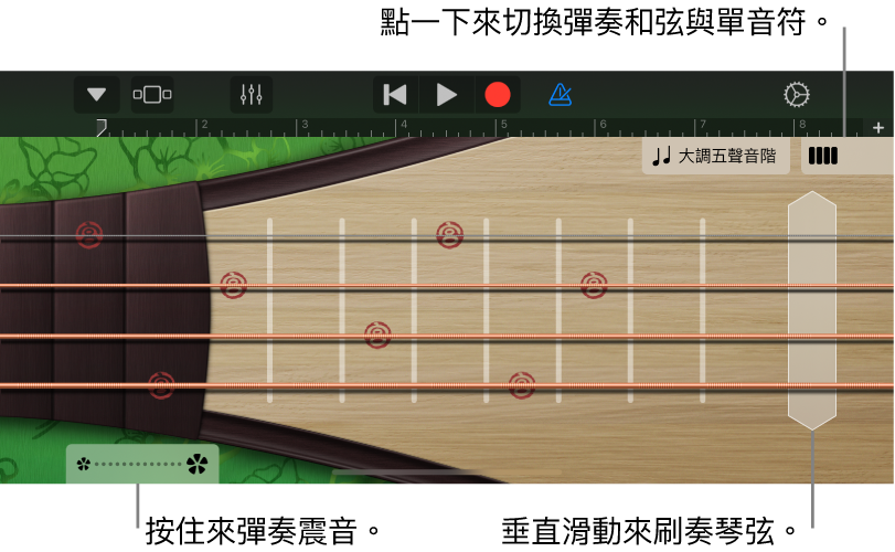 圖表。琵琶,音符顯示方式。